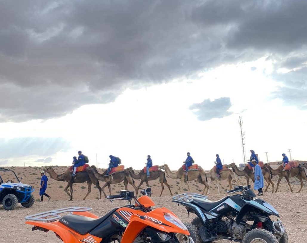 WhatsApp Image 2024-12-10 à 21.43.59_d9ab9fa7